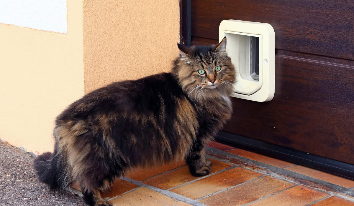 Дверцы для кошек Котопроход